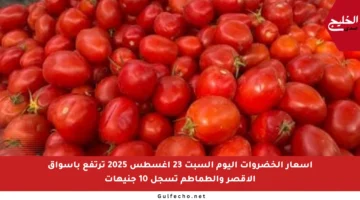 أسعار الخضروات اليوم السبت 23 أغسطس 2025 ترتفع بأسواق الأقصر والطماطم تسجل 10 جنيهات